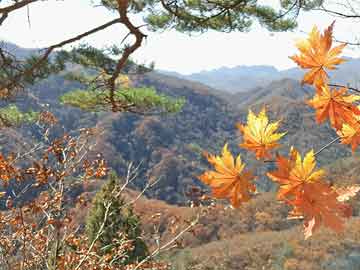 米非司酮打胎药官网“奔县游”火热，激发县域经济新动能